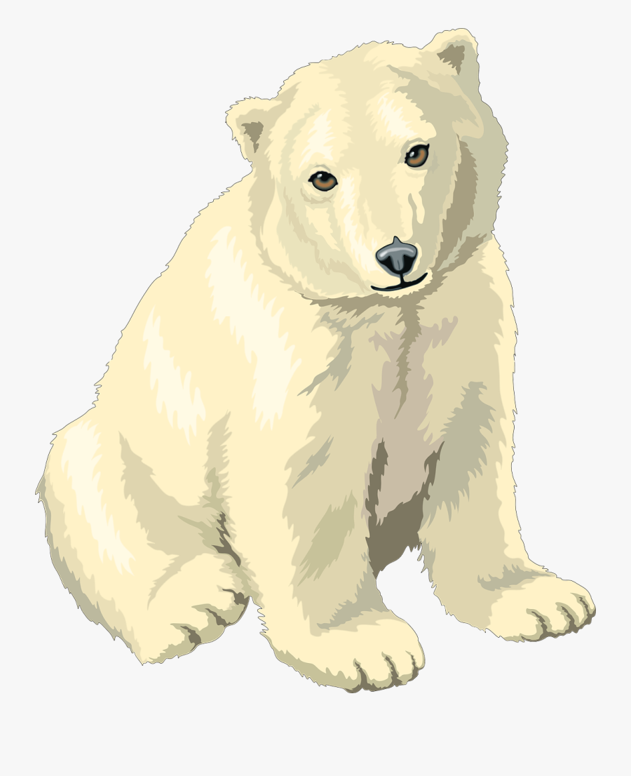 Clipart Black And White Library Cub Clip Art At Clker - Clipart Polar Bear Png, Transparent Clipart