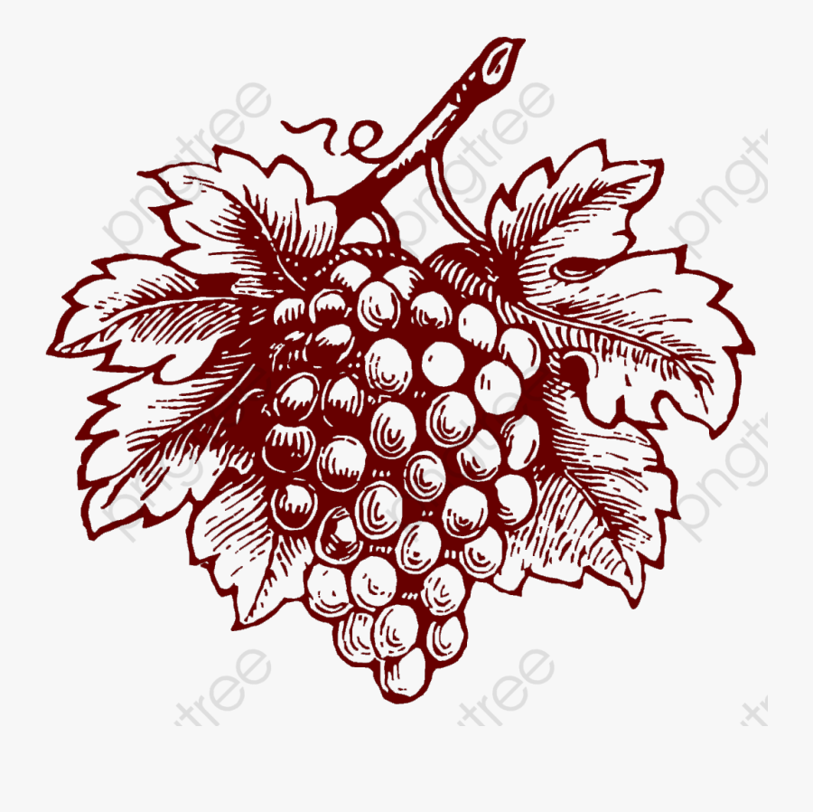 Grapes Clipart Realistic - Uva Desenho Para Rotulo, Transparent Clipart