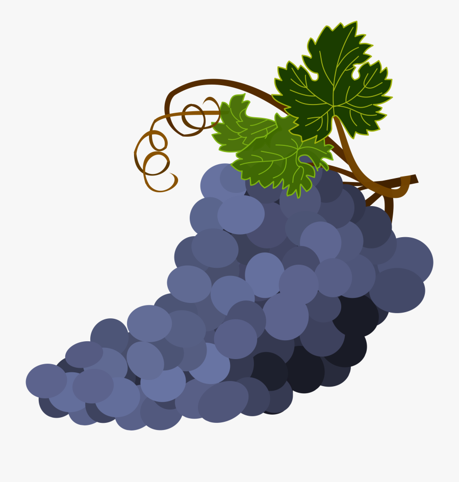 Grape Seed Extract,plant,grape - Transparent Background Grapes Clipart Png, Transparent Clipart