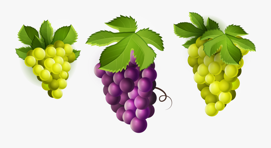 Grape Clipart Png Image - Green Fruits Clip Art, Transparent Clipart