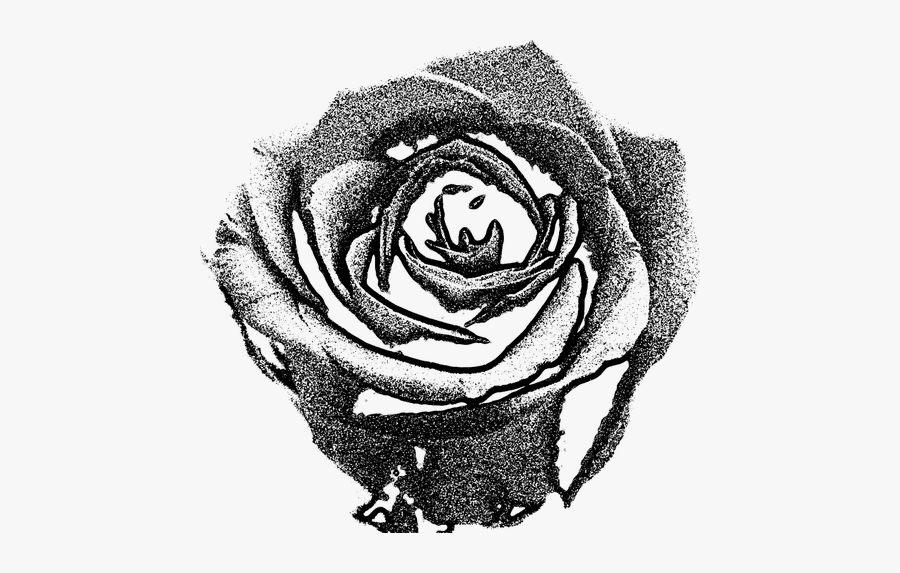 Clip Art Of Monotone Rose Drawn By Sprya - Grey Rose Png, Transparent Clipart