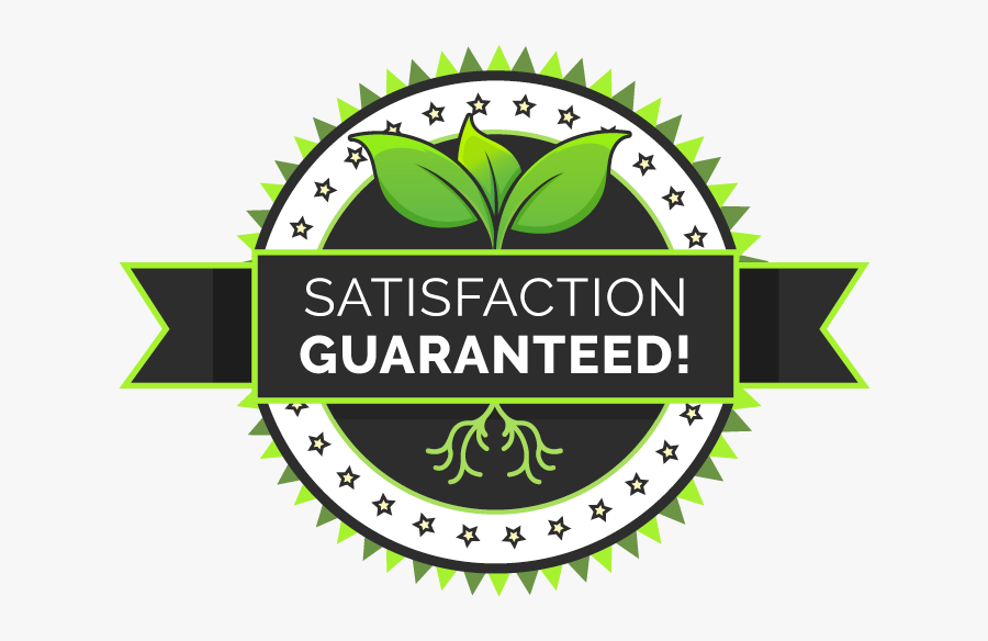 Satisfaction Guaranteed - Federation Of Music Services, Transparent Clipart