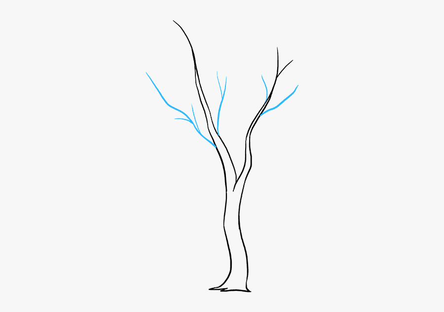 How To Draw Fall Tree - Drawing, Transparent Clipart