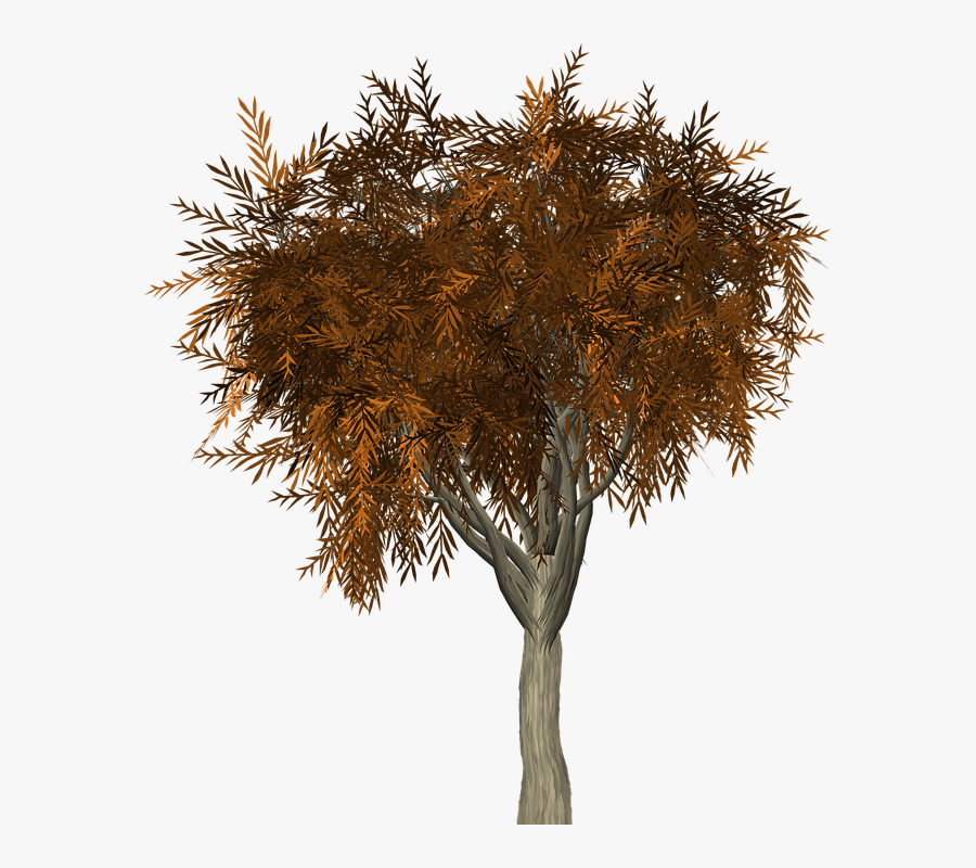 Tree Leaves Autumn Fall Branches Isolated Nature - Branch, Transparent Clipart