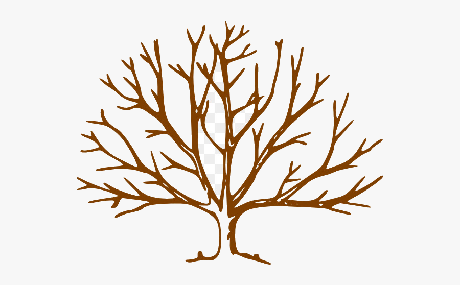 Fall Tree Free Content Website Plant Flower Transparent - Leave Less Tree Drawing, Transparent Clipart
