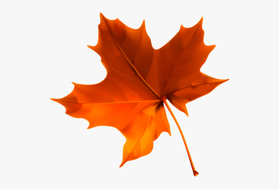 fall leaves png transparent free transparent clipart clipartkey fall leaves png transparent free