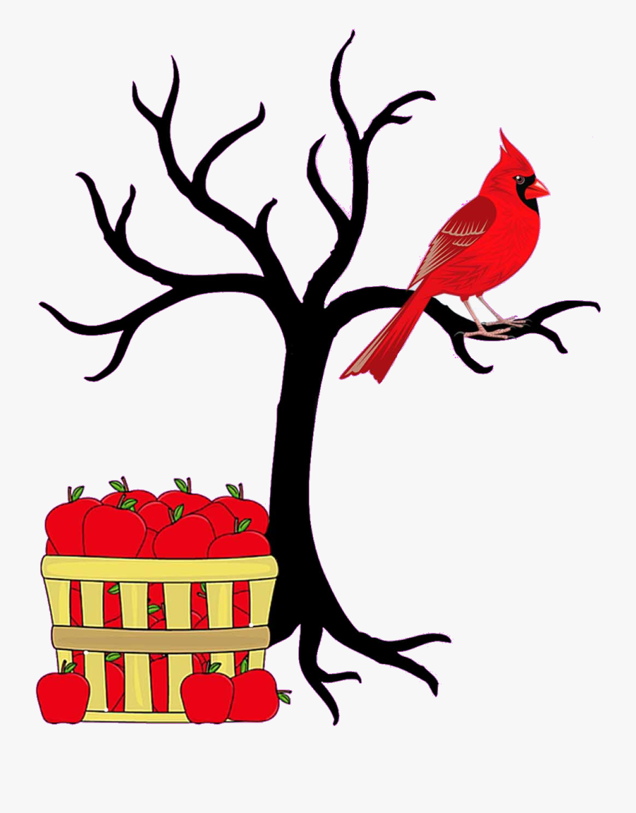 Transparent Cardinal On Branch Clipart - Tree With A Tire Swing, Transparent Clipart
