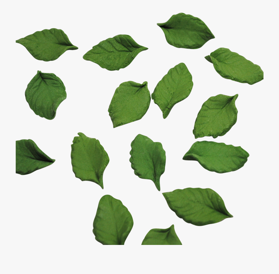 rose leaf png free transparent clipart clipartkey rose leaf png free transparent