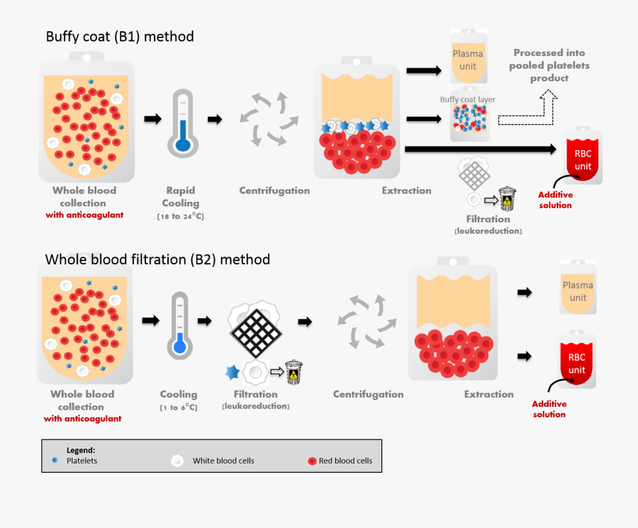 Methods Of Handling And Storing The Donated Blood, Transparent Clipart