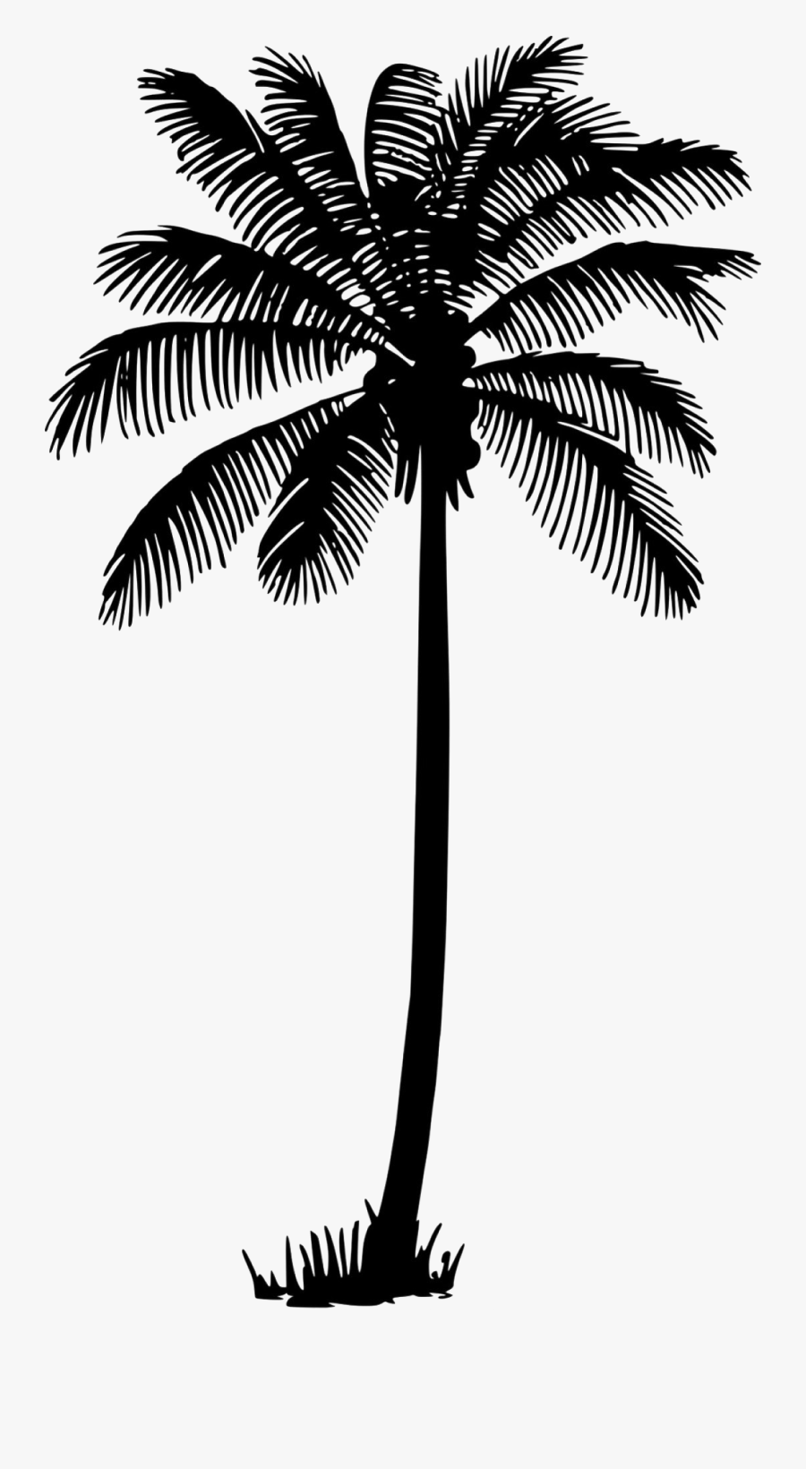 Black Palm Tree Download Free Png - Palm Tree Vector Png , Free