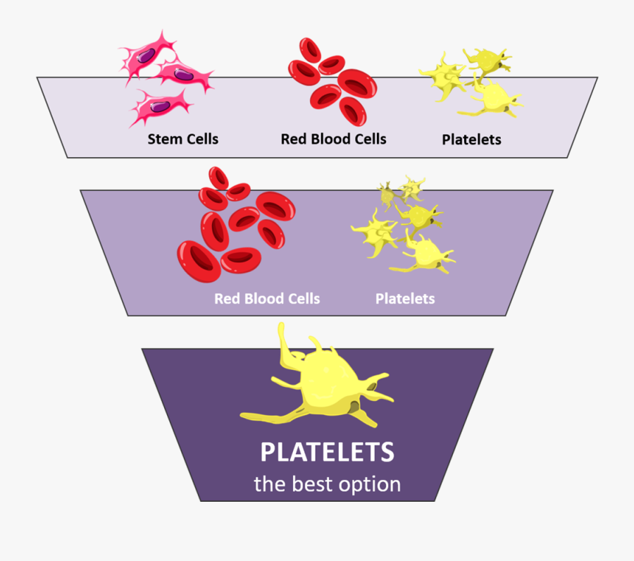 Purple Graphic With Icons For Platelets, Red Blood, Transparent Clipart