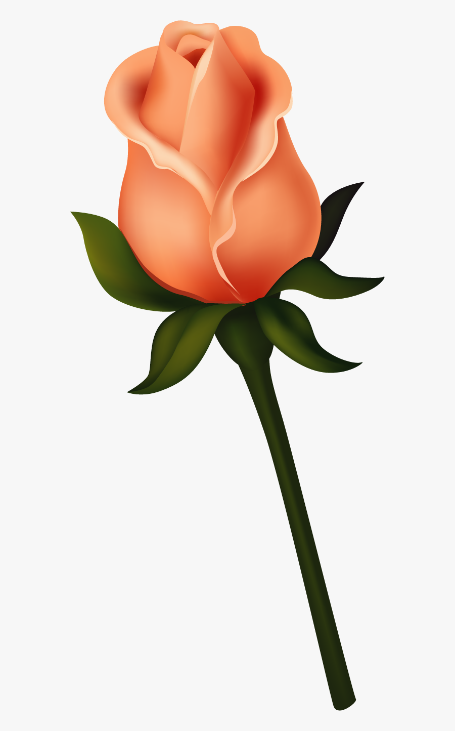 Transparent Bud Png - Long Stem Peach Rose Clipart, Transparent Clipart