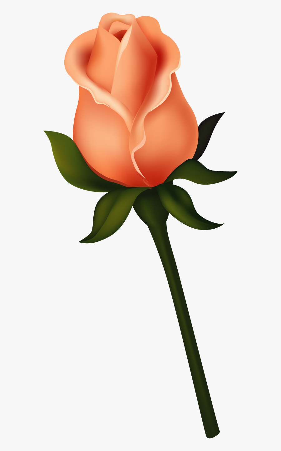 transparent bud png long stem peach rose clipart free transparent clipart clipartkey transparent bud png long stem peach