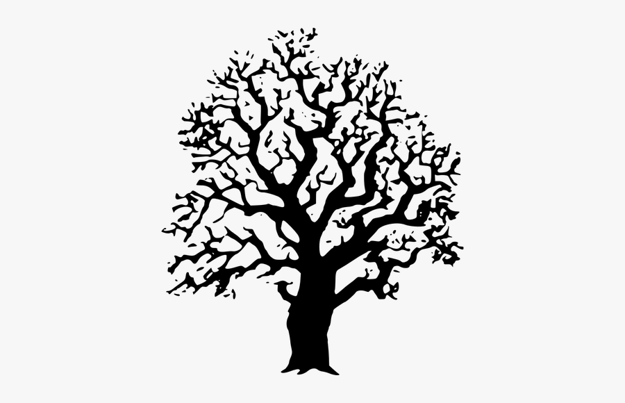 Oak Tree Vector Image - Laser Cut Tree Vector, Transparent Clipart