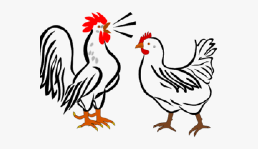 Drawn Rooster Roster - Chicken Clipart, Transparent Clipart