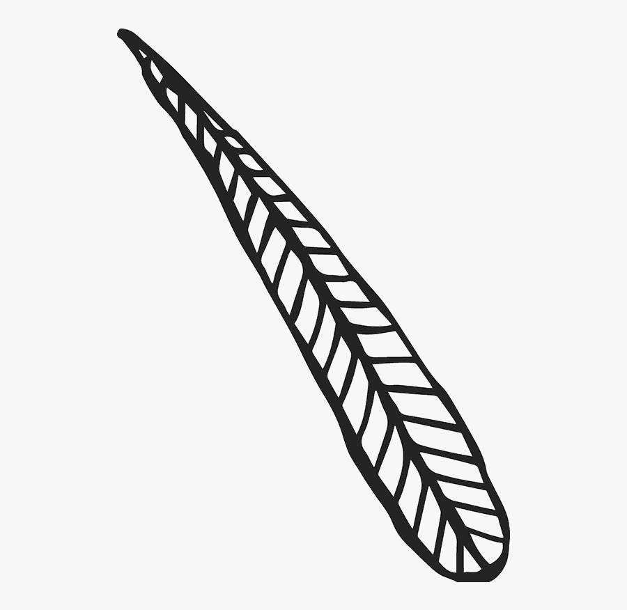 Long Leaf Sketch Rubber Stamp, Hd Png Download, Transparent Clipart