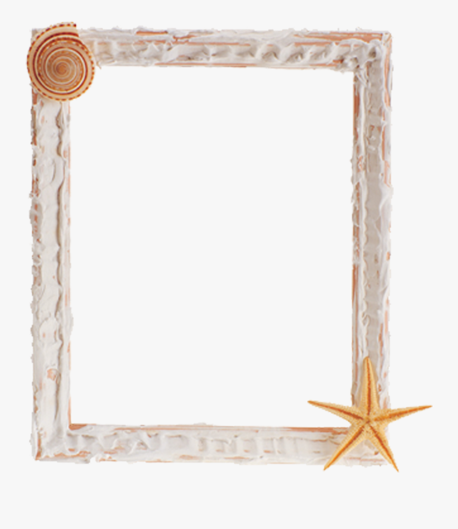Square Clipart Photograph Border - Seashell Frame Transparent, Transparent Clipart