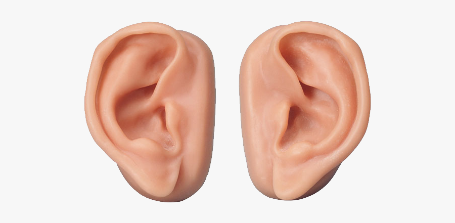 Ear Clipart Outer Ear - Transparent Background Ear Png, Transparent Clipart