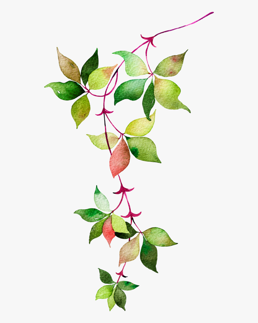Flower Euclidean Icon Watercolor Leaves Green And Red - Mint Vector Icon Png, Transparent Clipart