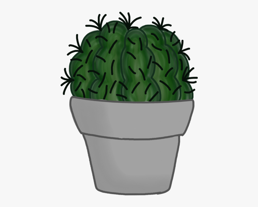 Cactus Cacti Terrainium Terrarium Plants Scgreen Schouseplants - Flowerpot, Transparent Clipart