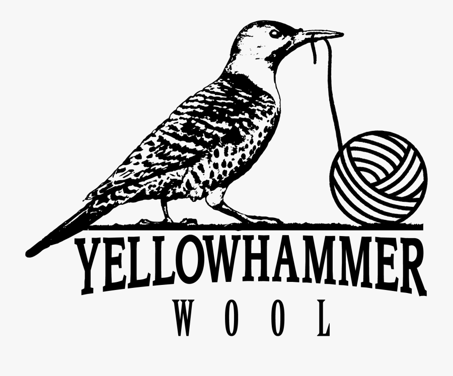 Yellowhammer Wool - Piciformes, Transparent Clipart