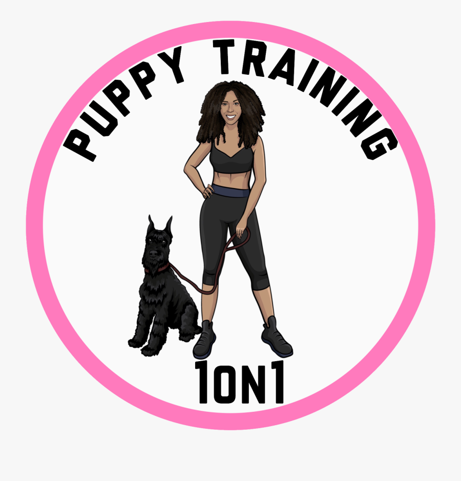 Puppy Training 1on1 - Dog Catches Something, Transparent Clipart