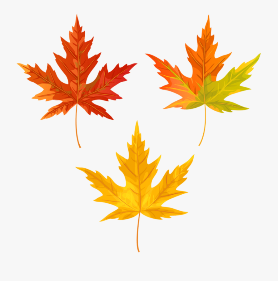 Download Orange Fall Leaves Clipart Png Photo - Transparent Background Fall Leaf Clipart, Transparent Clipart