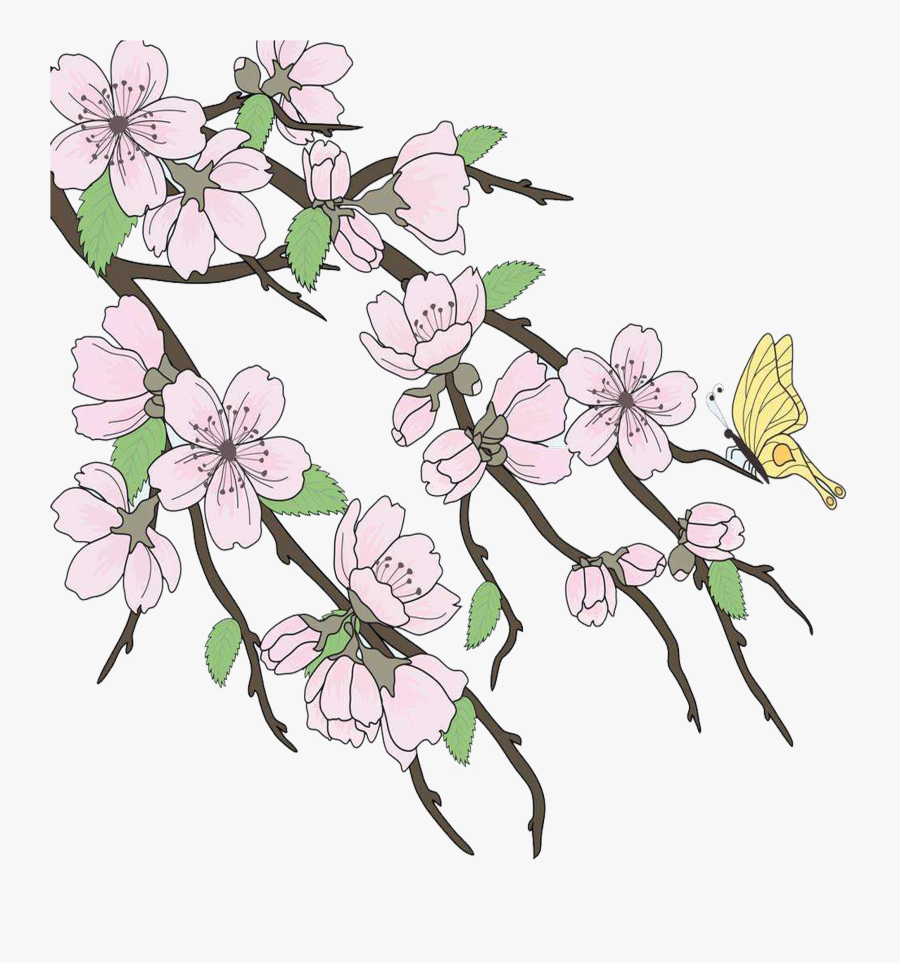 Branches Drawing Apple Blossom Free Transparent Clipart Clipartkey