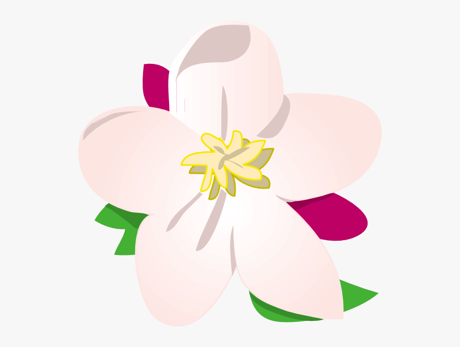 Draw Michigan State Flower, Transparent Clipart