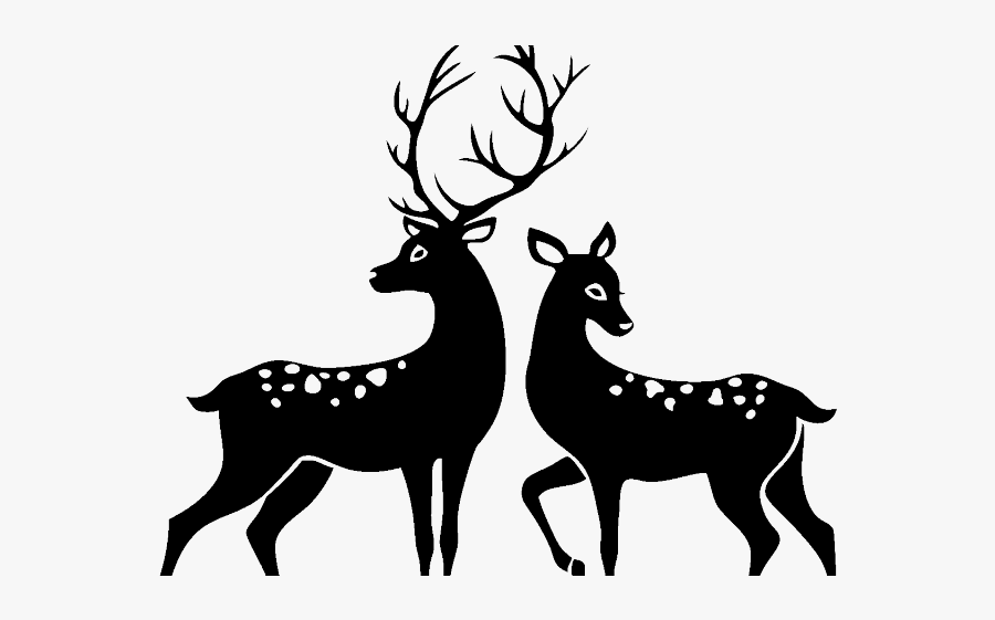 Buck And Doe Cartoon, Transparent Clipart