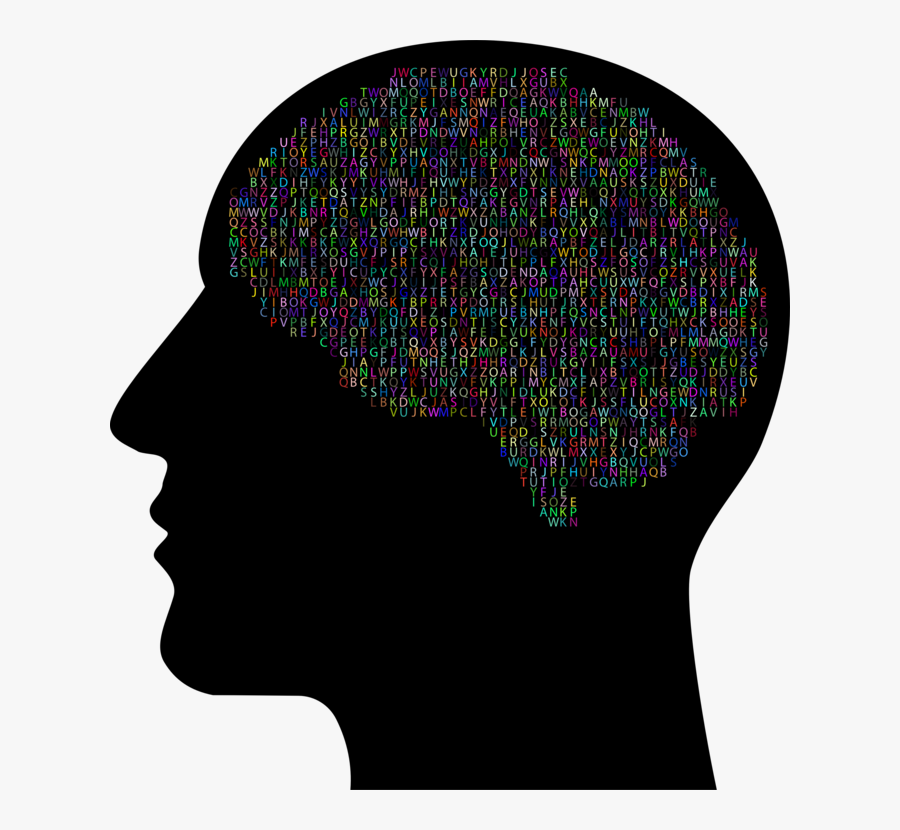 Human Brain, Transparent Clipart