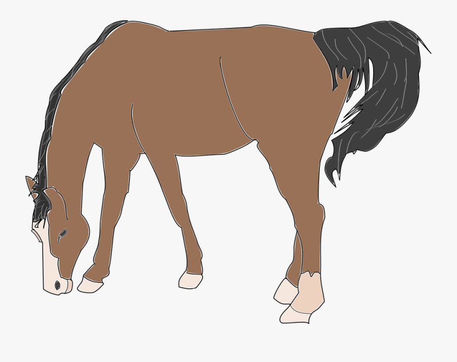 Horse, Brown, Animal, Mammal, Eating, Food, Ground - Hours Cliparts, Transparent Clipart