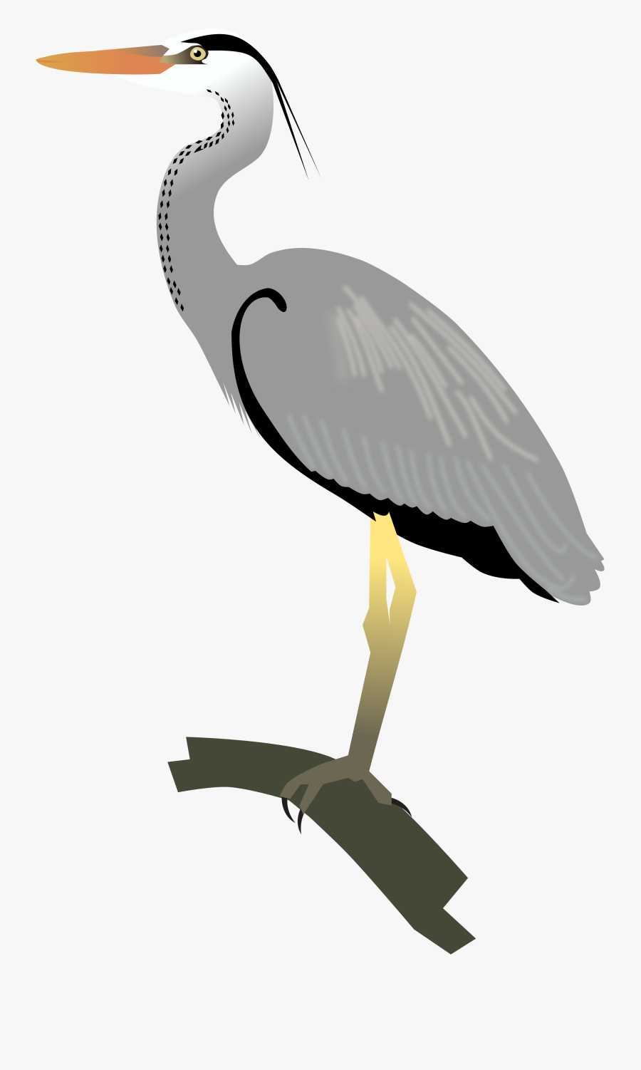Heron Vector Svg - Grey Heron Png, Transparent Clipart