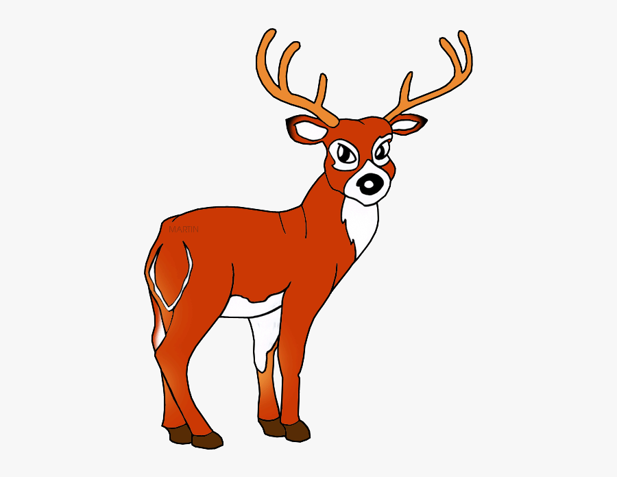White Tailed Deer - Clipart Elk, Transparent Clipart