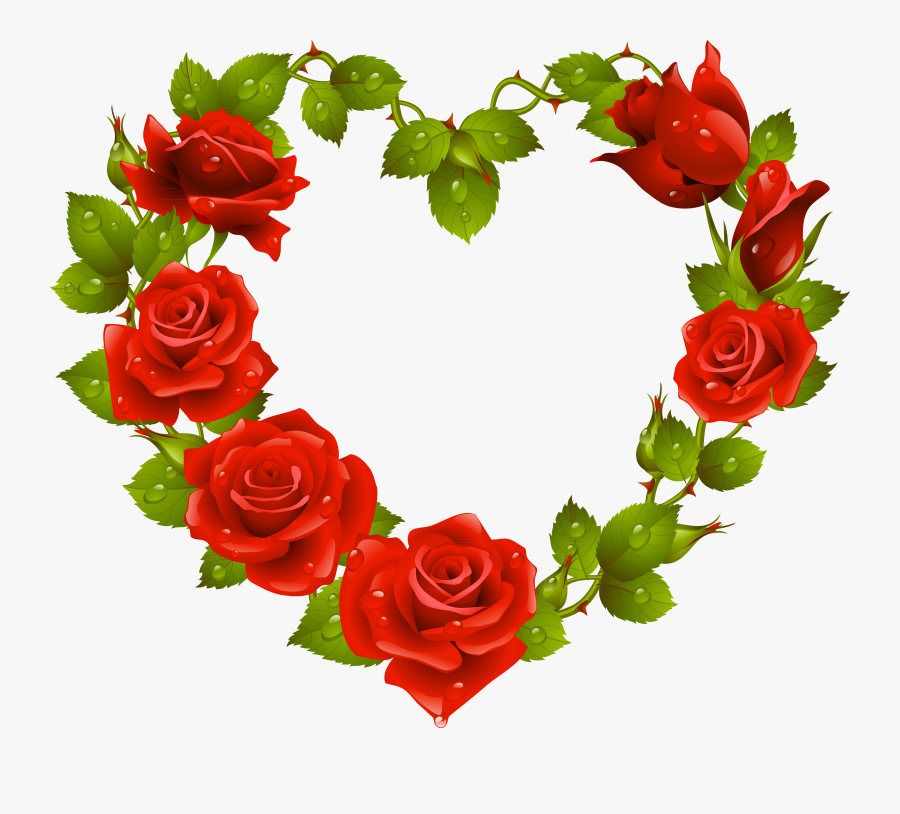 Beautiful Rose Image Download, Transparent Clipart