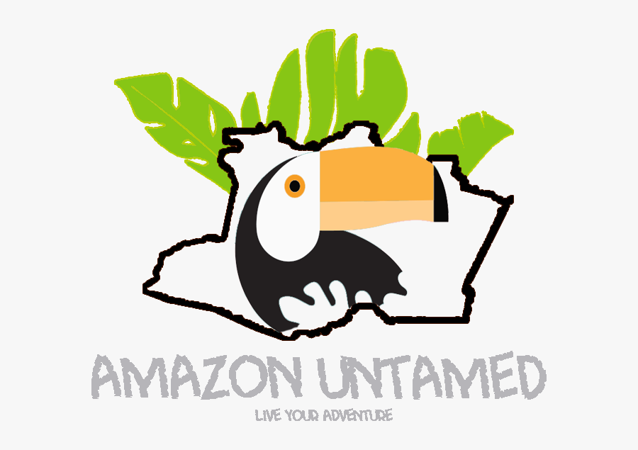 Amazona Untamed Amazona Untamed, Transparent Clipart