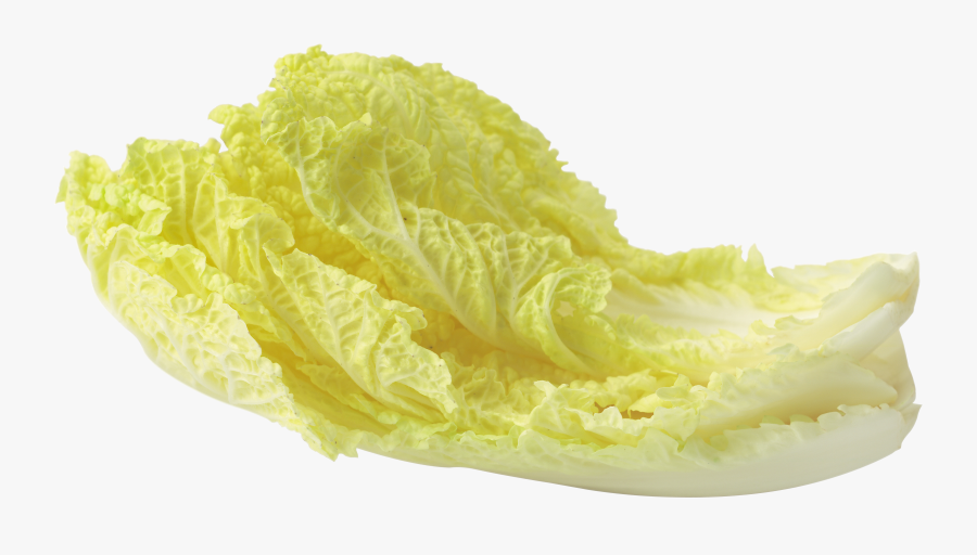 Cabbage Clipart Salad Leave - Png Yellow Lettuce, Transparent Clipart
