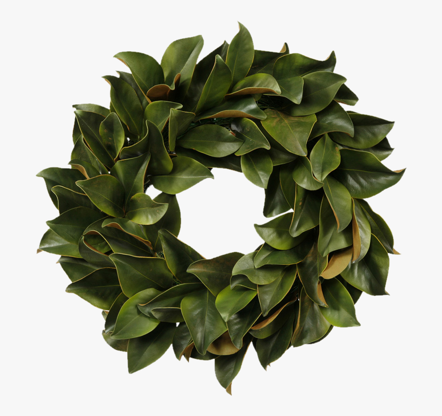 Clip Art Magnolia Features - Leaf Wreath, Transparent Clipart