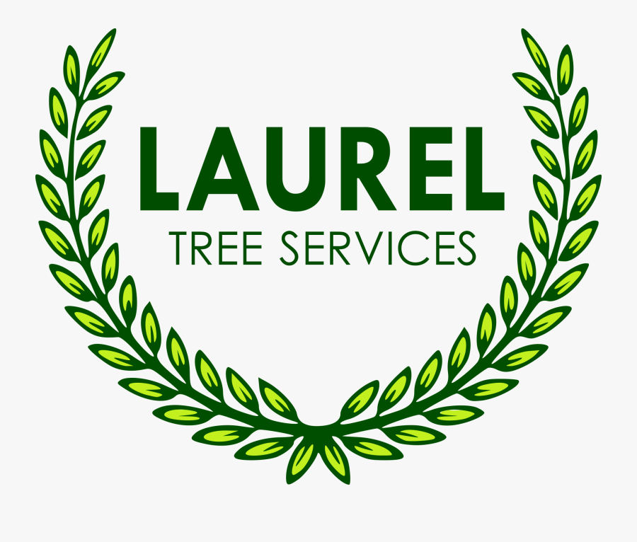 Laurel Tree Services - Success Academy Logo Png, Transparent Clipart