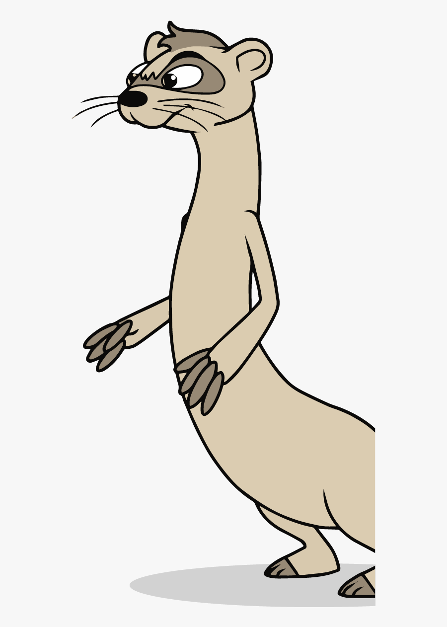 Ferret, Transparent Clipart