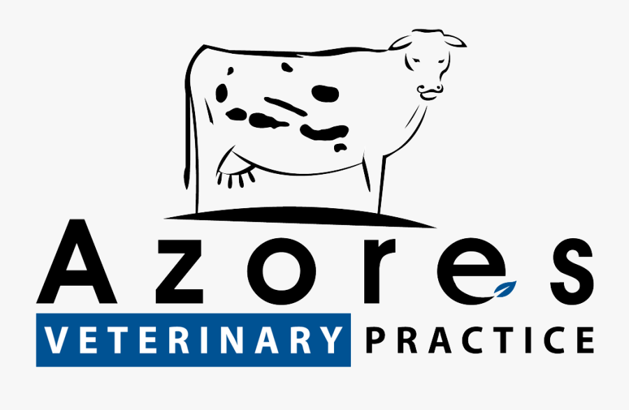 Azores Veterinary Practice, Transparent Clipart