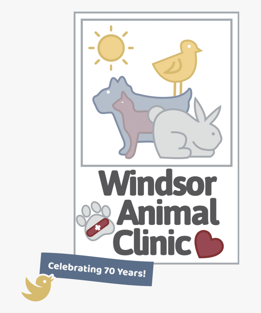 Windsor Animal Clinic Celebrating 70 Years - Cartoon, Transparent Clipart