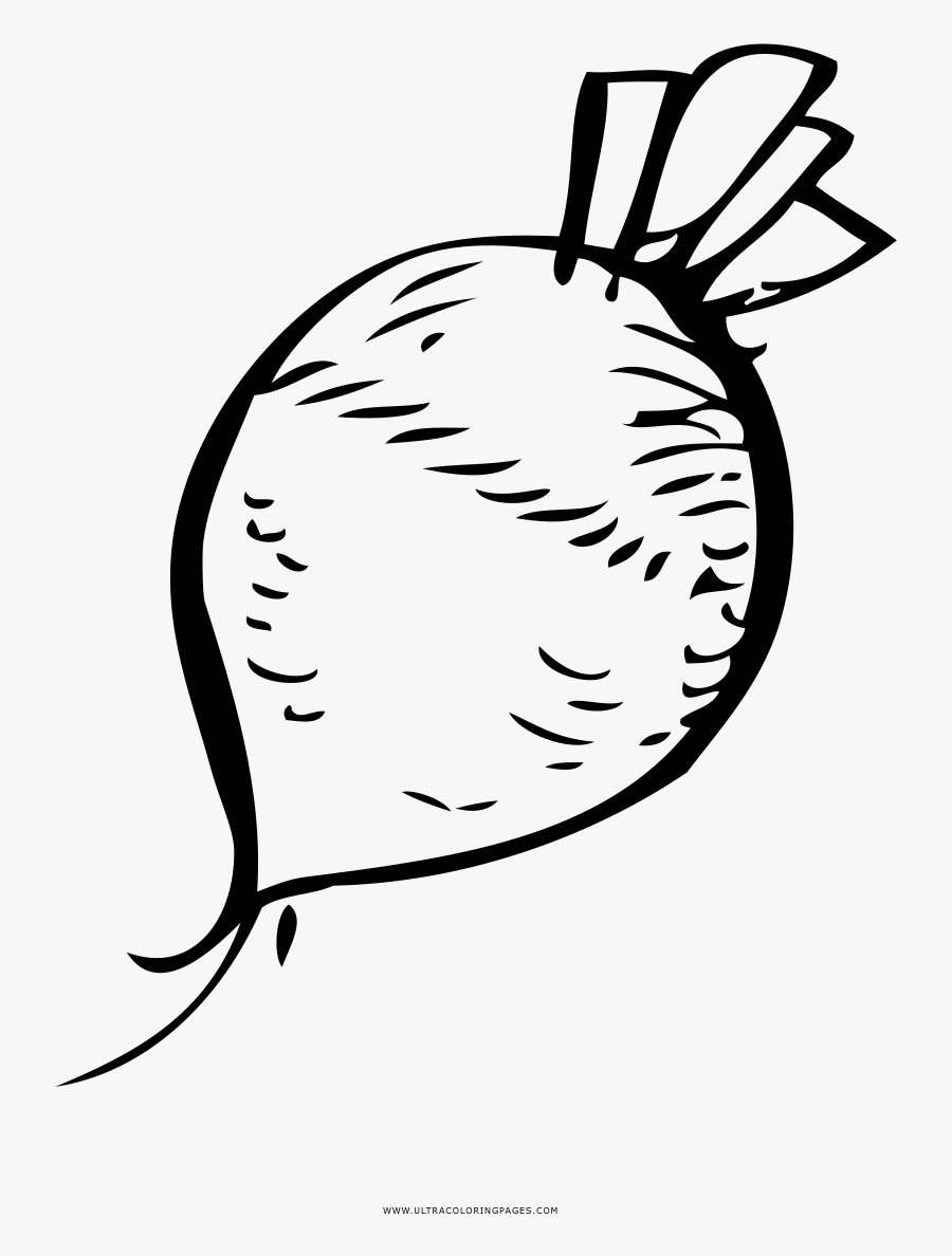 Turnip Coloring Page, Transparent Clipart