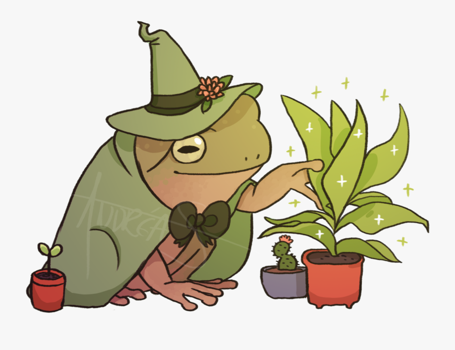 Wizard Frog Drawing, Transparent Clipart
