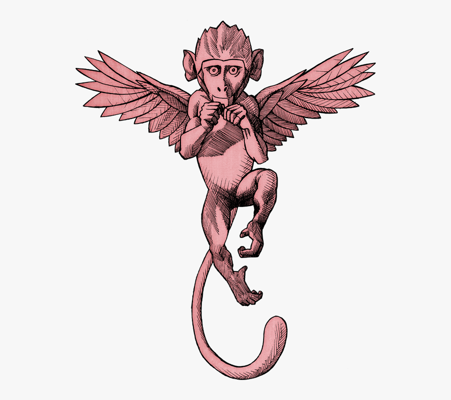Image Via "awesome And Oops" - Falling Angel Rising Ape, Transparent Clipart
