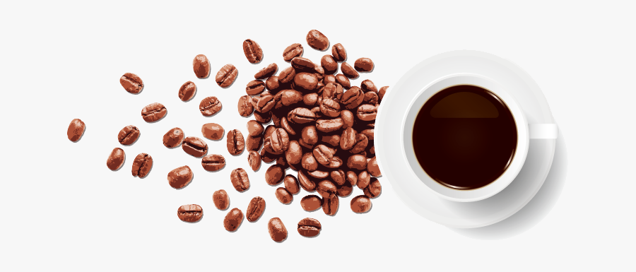 Coffee Bean Espresso - Vector Coffee Beans Png, Transparent Clipart