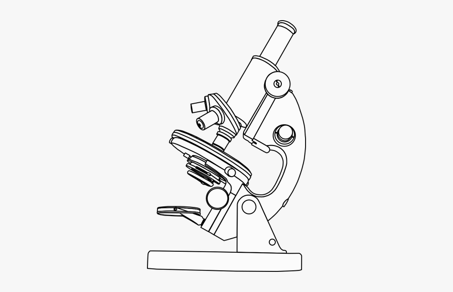 Laboratory Microscope Line Art Vector Illustration - Light Microscope Black And White, Transparent Clipart