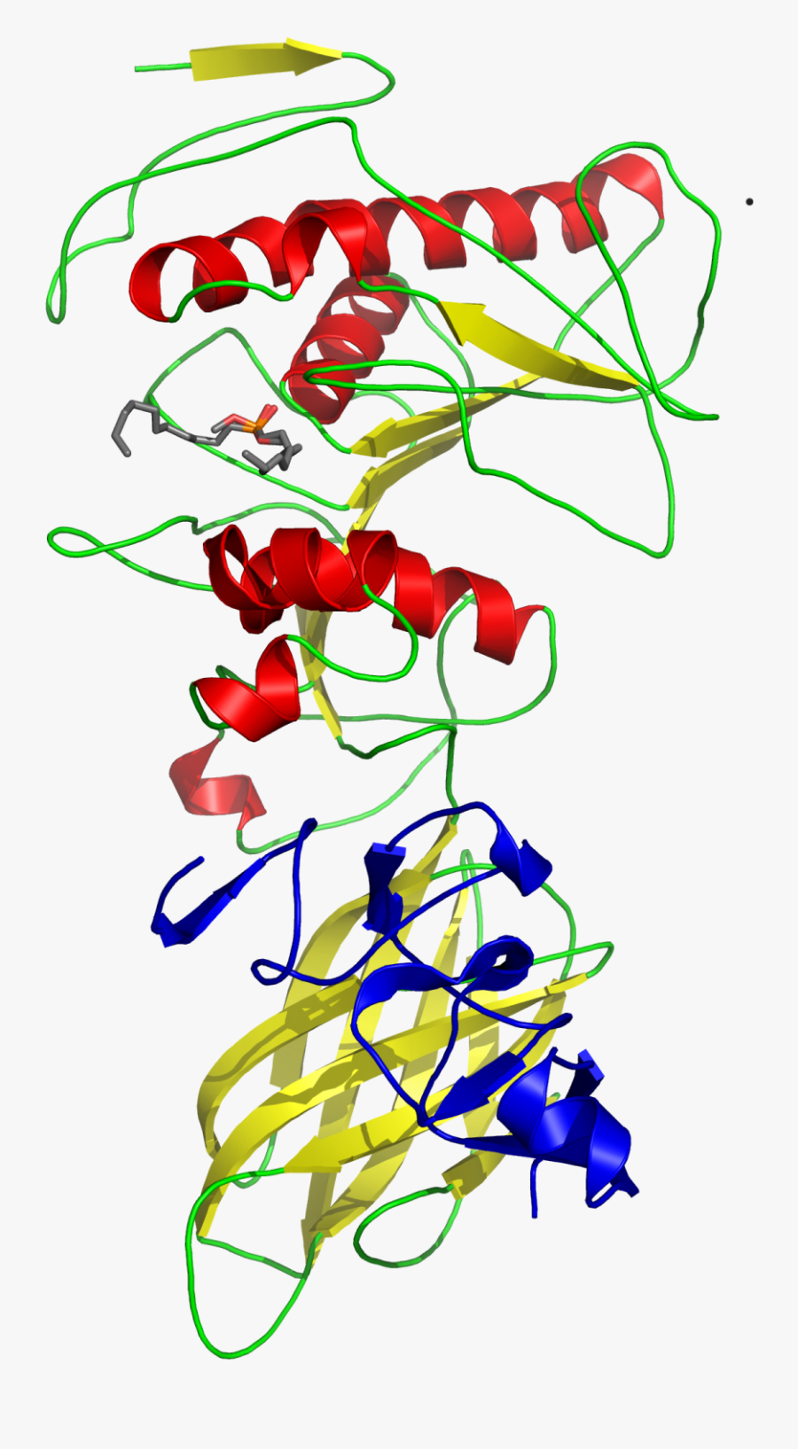 Pancreatic Lipase Colipase Complex With Inhibitor 1lpb - Tertiary Structure Of Lipase, Transparent Clipart