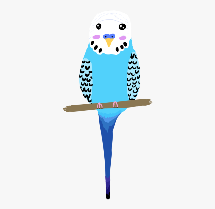 Budgie Cartoon Png, Transparent Clipart