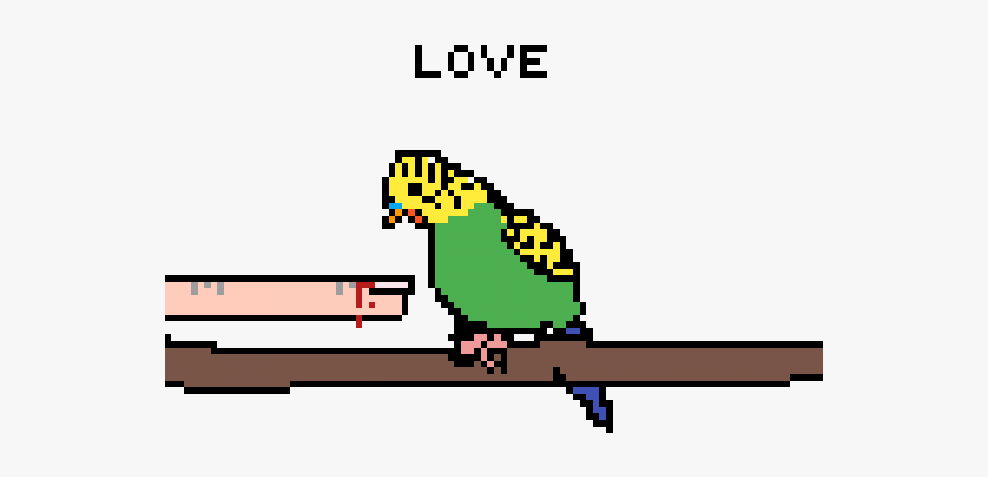 Budgie, Transparent Clipart